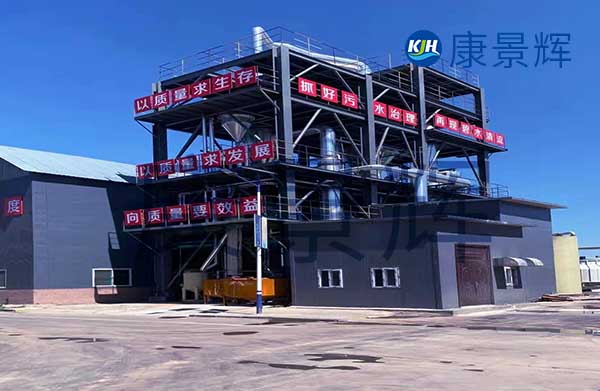 我需要采購mvr蒸發(fā)器，能處理硫酸鈉和硫酸銨廢水，一天300噸，有哪些廠家可以推薦給我