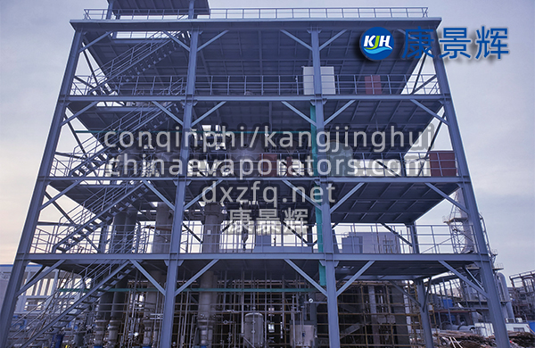 工業(yè)高鹽廢水蒸發(fā)結晶器