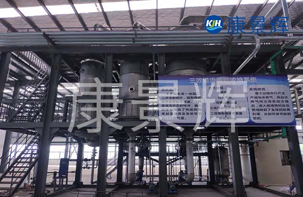 多效降膜蒸發(fā)器可以用來濃縮處理廢水，特別適合處理牛奶、淀粉、葡萄糖等食品廠廢水的加工處理中